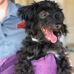 ABA533E2-8CEF-46AF-A3E7-ECB0FB745D45