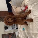 IMG_4380 (1)