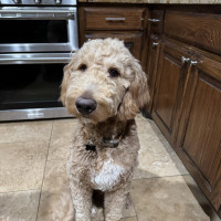 IMG_0242.jpeg rocket