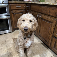 IMG_0244.jpeg rocket