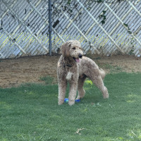 IMG_0285.jpeg rocket out