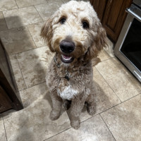 IMG_0416.jpeg rocket