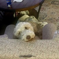 IMG_2572