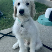 IMG_4867.jpeg peanut b