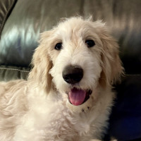 IMG_5076.jpeg peanut b