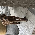 IMG_2622 (3)