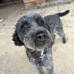 Screenshot 2026-02-12 at 9.06.04 PM