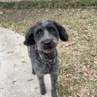 Screenshot 2026-02-12 at 9.07.28 PM