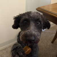 Screenshot 2026-02-12 at 9.07.44 PM