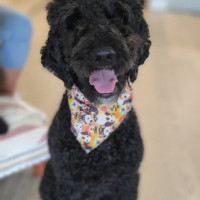 imagejpeg_0-3.jpeg hach