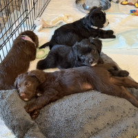 2877B6E0-D365-4764-B4AD-A3734519AE03_1_105_c