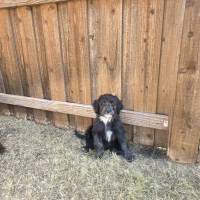 671A709A-8831-44EB-911B-C7C03CE13AE1_1_102_o