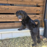 8160A033-E1C0-4822-975B-EF109E93C230_1_102_o