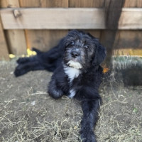 C4E16972-3B4A-4E7D-BB64-EF4571522865_4_5005_c