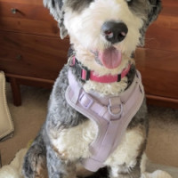 IMG_3927-wpcf_250x250