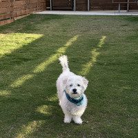 IMG_6198
