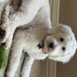 IMG_0581.jpeg ida