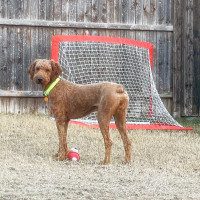 IMG_6281