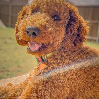 IMG_6284