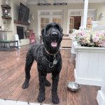 IMG_6372