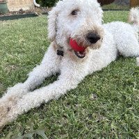 IMG_0115