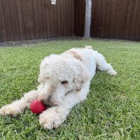 IMG_0116