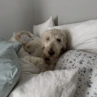 IMG_0120