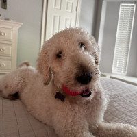IMG_0121