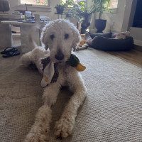 IMG_0122
