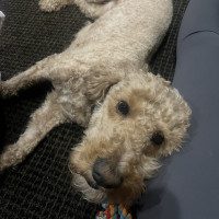IMG_0279