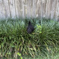IMG_1940