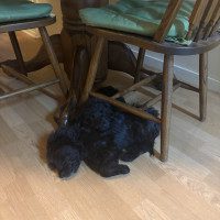 IMG_1956
