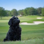 IMG_5878