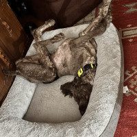 IMG_8358