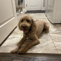 IMG_0357