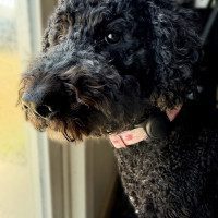 IMG_0697