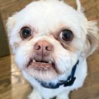 IMG_5393