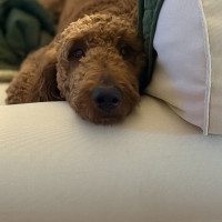 IMG_2718